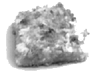 Placek jabłkowo-kokosowy